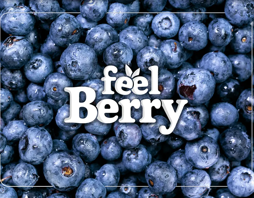 Feel-Berry-Branding
